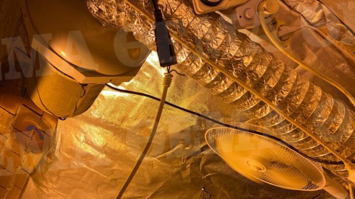 Πειραιάς: «Μαριχουάνα Στοπ» σε διαμέρισμα – φυτεία – (ΦΩΤΟ)