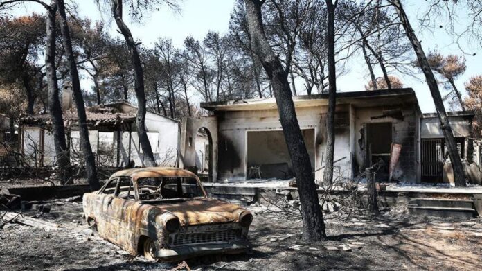 Μάτι: Θα αγοράσουν κάδους με χρήματα που συγκεντρώθηκαν για τους πυρόπληκτους – Αγανακτισμένοι οι κάτοικοι