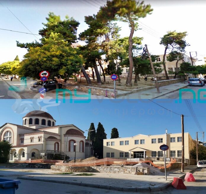 Κατακρεουργήθηκαν από τον Δήμο Βόλου ψηλά πεύκα στην Ανάληψη εν όψει …αναβάθμισης παιδικής χαράς (ΦΩΤΟ)