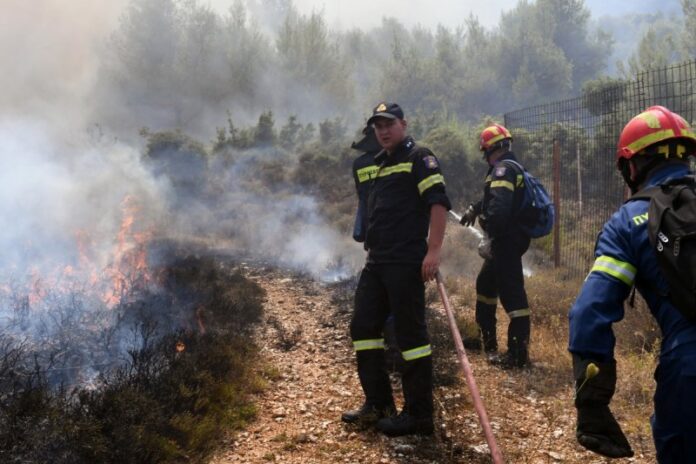 Πυρκαγιά στους Λοκρούς Φθιώτιδας