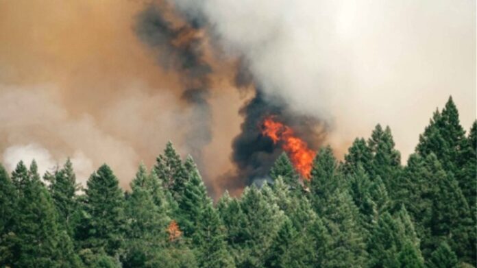 Πυρκαγιά στην Οιχαλία Μεσσηνίας