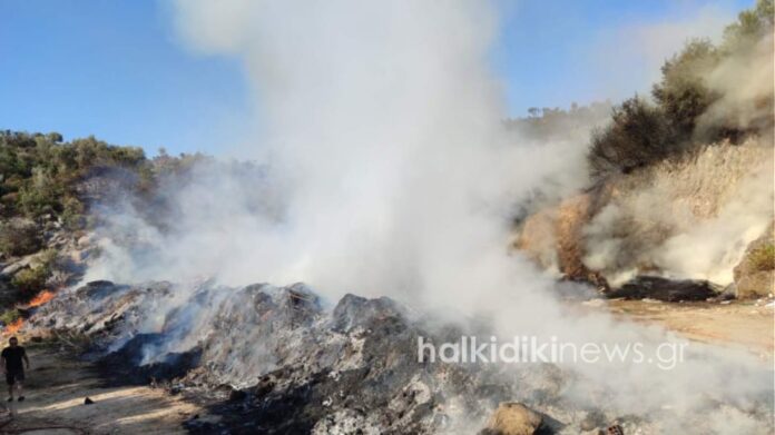 Χαλκιδική: Φωτιά μαίνεται στη Σιθωνία