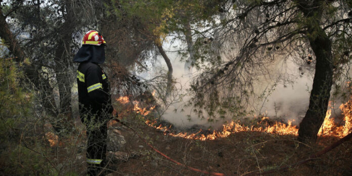 Φωτιά στην Αρχαία Ολυμπία -Δεν απειλούνται κατοικημένες περιοχές