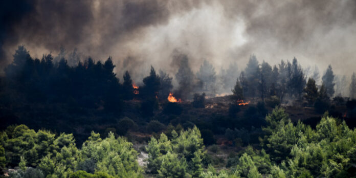 Κεχριές: Ενεργοποιείται ο Copernicus για τη δορυφορική παρακολούθηση της φωτιάς -Εκκενώθηκαν οικισμοί