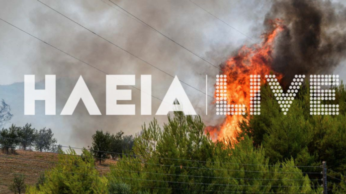 Φωτιά στην Ωλένη Ηλείας: Ενισχύονται οι πυροσβεστικές δυνάμεις