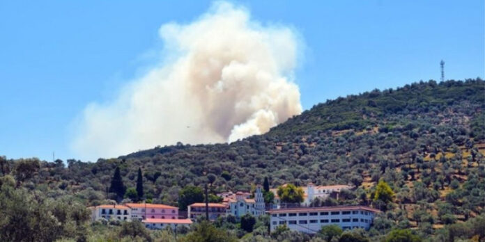 Μυτιλήνη: Οριοθετημένα τα μέτωπα της φωτιάς στη Θερμή -Βγήκε από το νοσοκομείο πυροσβέστης