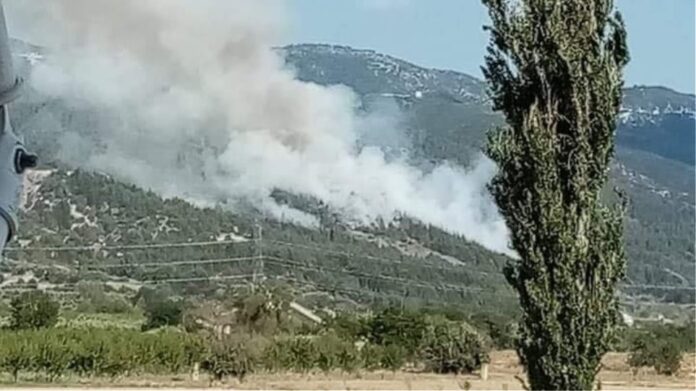 Φωτιά στην Ελασσόνα – Γίνονται ρίψεις από αέρος