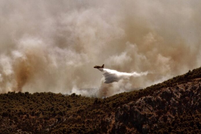 Πυροσβεστική: 41 πυρκαγιές μέσα σε μία ημέρα