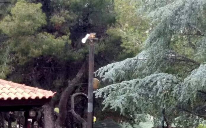 Μήνυση του Δήμου Βύρωνα κατά αγνώστων για βανδαλισμούς