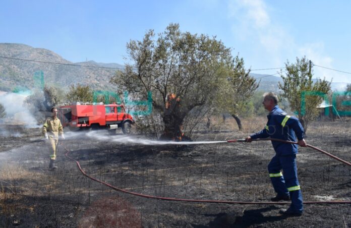 Φωτιά σε δέντρα στον Περιφερειακό δίπλα σε μάντρα με καυσόξυλα και αέριο (εικόνες)