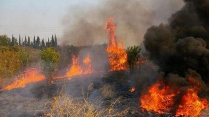 Σε εξέλιξη δασική πυρκαγιά στη Κέρκυρα