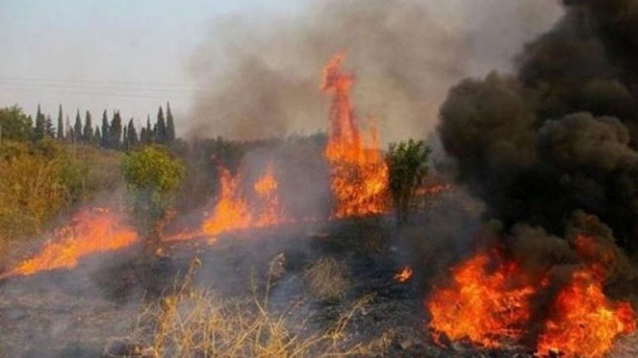 7e9376fef7fd8781985c95a66b91a1ad_XL