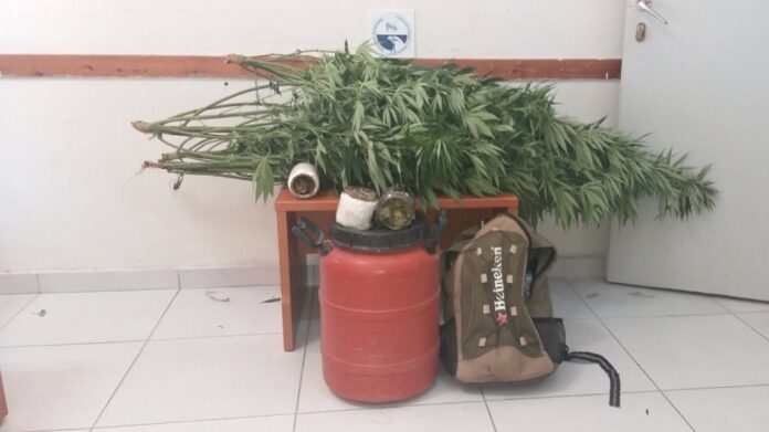 Θεσπρωτία: Με… βάρκα πήγαινε να περιποιηθεί τα χασισόδεντρα!