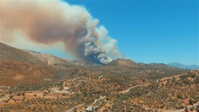 Φωτιά στη Μάνη: Χωρίς ενεργό μέτωπο – Βελτιωμένη η εικόνα