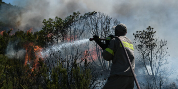 Φωτιά στον Διόνυσο -Καίει χαμηλή βλάστηση στη Ροδόπολη Αττικής