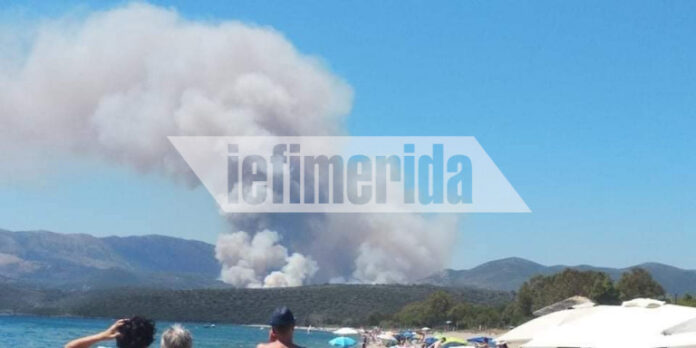 Μεγάλη φωτιά σε δασική έκταση στο Γύθειο