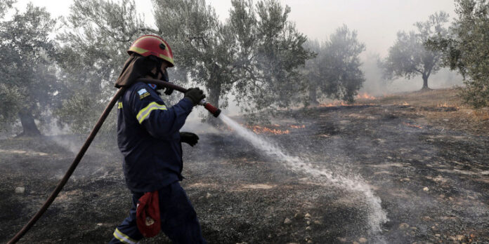 Πυρκαγιά στο χωριό Αγία Μαρίνα Ζακύνθου-Δεν απειλεί κατοικημένες περιοχές