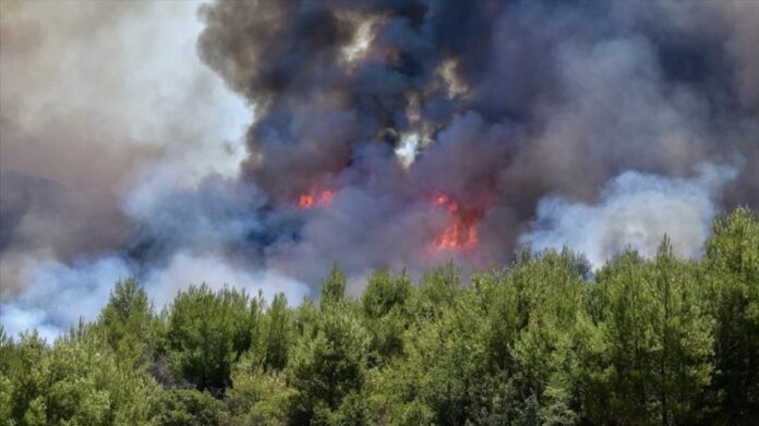 Φωτιά στη Μόβρη Δυτικής Αχαϊας