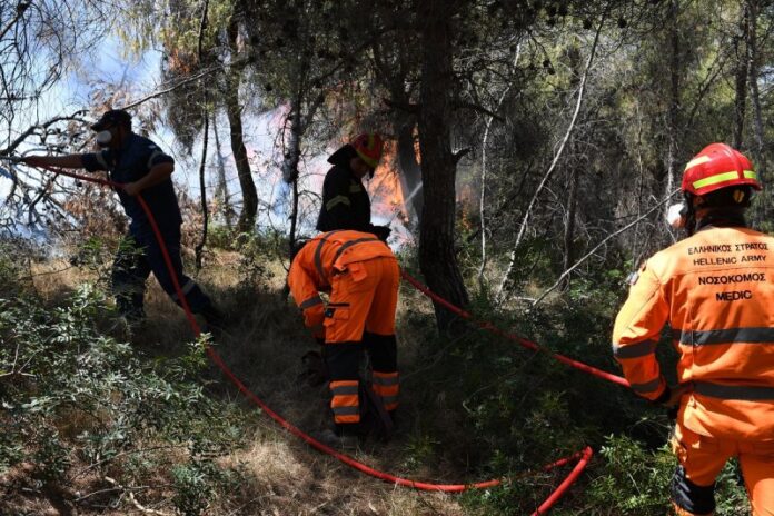 Συναγερμός στην πυροσβεστική: Μεγάλη φωτιά στον Γοργοπόταμο Λαμίας