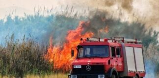 Πυροσβεστική: 65 δασικές πυρκαγιές σε ένα 24ωρο