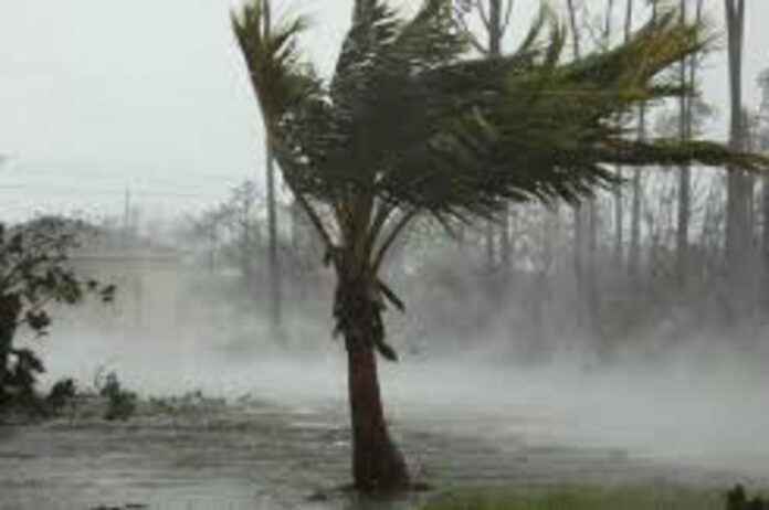 Φιλιππίνες: Εκκενώνεται τμήμα του νησιού Λουζόν, καθώς ο υπερτυφώνας Γκόνι θα πλήξει την Κυριακή την περιοχή