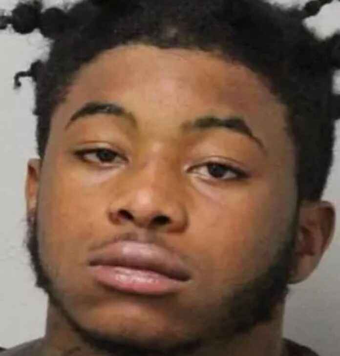 Νεαρός καταδικάστηκε σε 25 χρόνια αφού πυροβόλησε θανάσιμα σκυλί της αστυνομίας