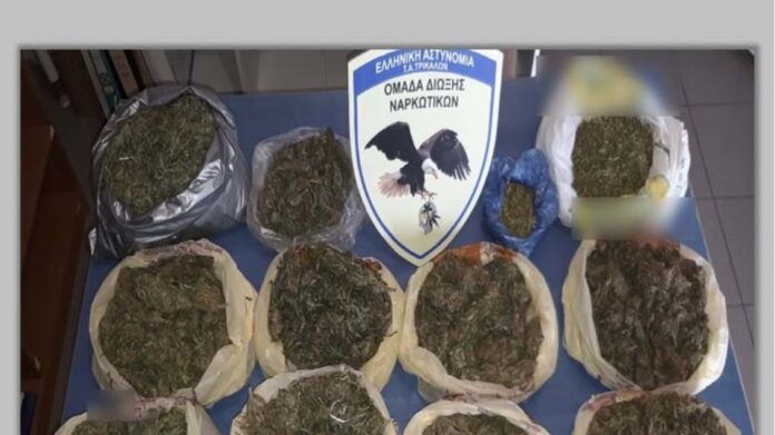 Τρίκαλα: Σκύλος βρήκε 2,5 κιλά κάνναβης σε μαντρί