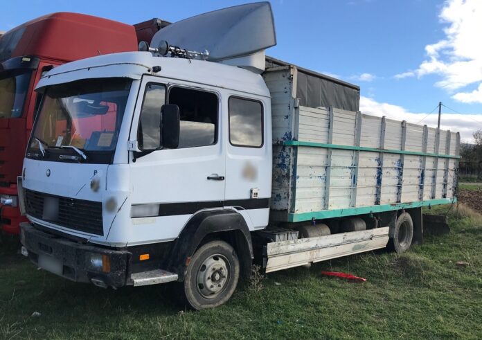 Ροδόπη: Φορτηγό με 10 παράτυπους μετανάστες έπεσε σε θάμνους προσπαθώντας να διαφύγει