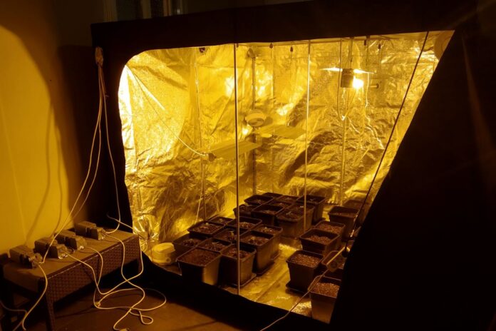 Θεσσαλονίκη: Έστησαν εργαστήριο υδροπονικής καλλιέργειας κάνναβης στο σπίτι τους (φωτο)