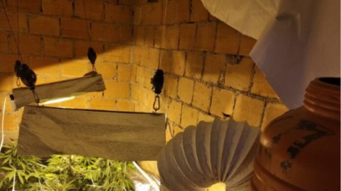 Κόρινθος: Εργαστήριο για την καλλιέργεια υδροπονικής κάνναβης μέσα στο σπίτι του