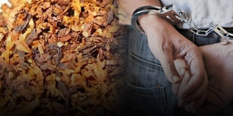 SYLLYPSH-KAPNOS-EXO-750x375