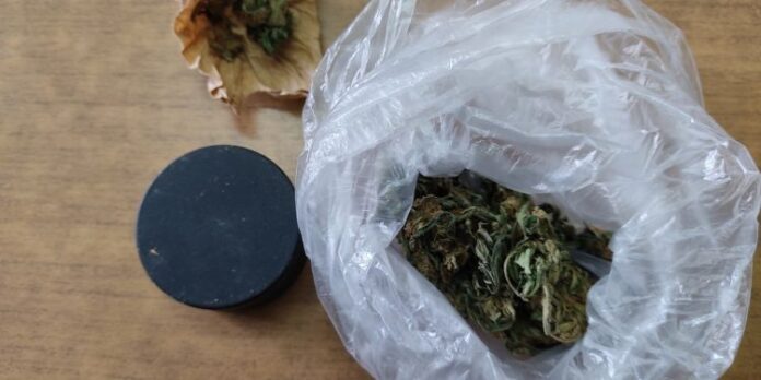 Έκρυβε στο σπίτι το… χασίς