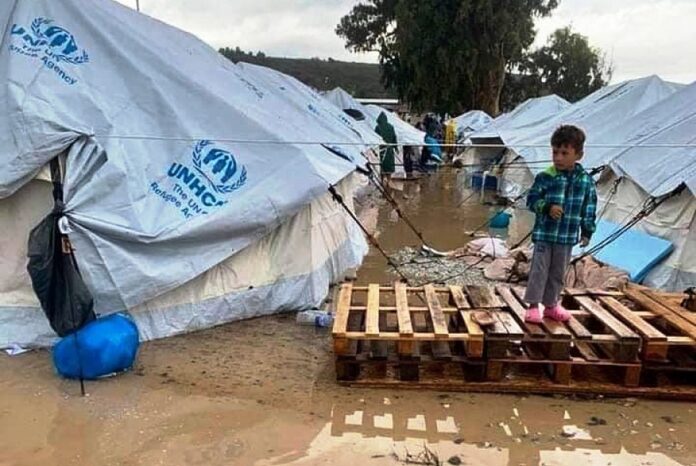 Γκερντ Μίλερ: Στο Καρά Τεπέ οι αρουραίοι δαγκώνουν μωρά, σε κανέναν άλλο καταυλισμό προσφύγων δεν υπάρχουν τέτοιες συνθήκες