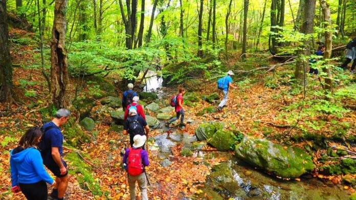 Πεζοπορικές διαδρομές 121 χλμ. από Βόλο προς Πήλιο