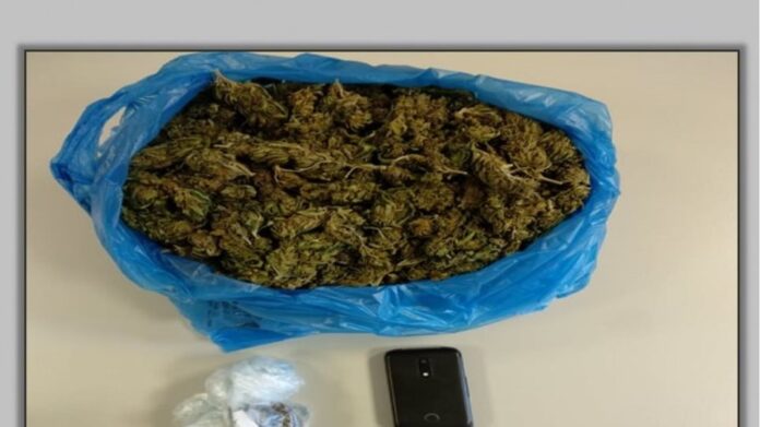 Αλεξανδρούπολη: H Laika της ΕΛ.ΑΣ. μύρισε την κάνναβη μέσα στα ρούχα