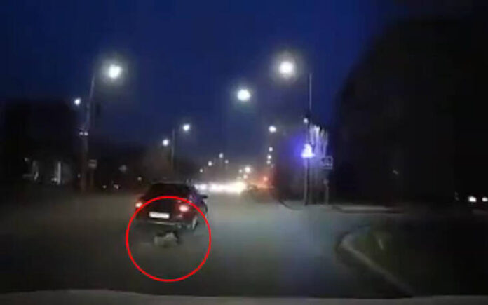 Σοκάρουν οι εικόνες: Έδεσε σκύλο στο πίσω μέρος του αυτοκινήτου και τον έσερνε στον δρόμο-(ΦΩΤΟ)