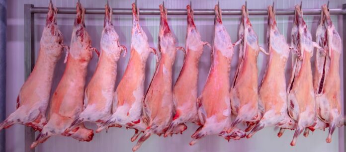 Κατασχέθηκαν 19 τόνοι ακατάλληλα τρόφιμα στην Αττική