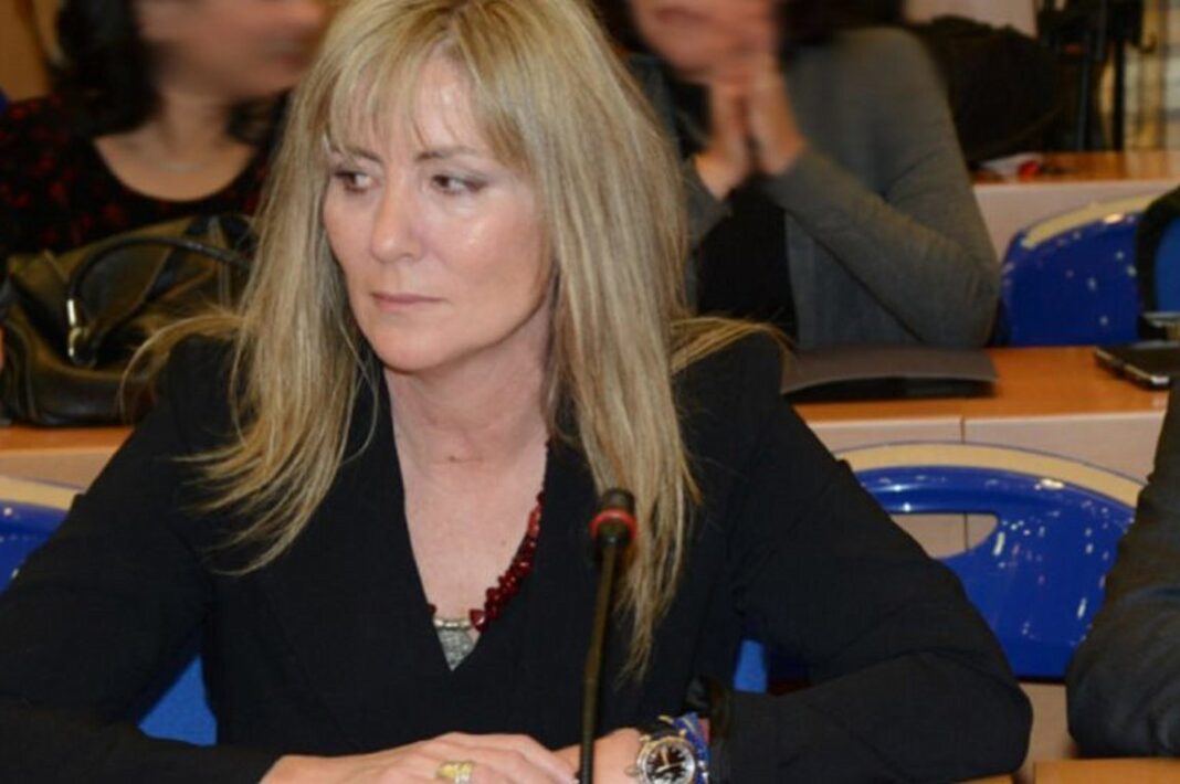 toyloypaki_252863_148500_type13262