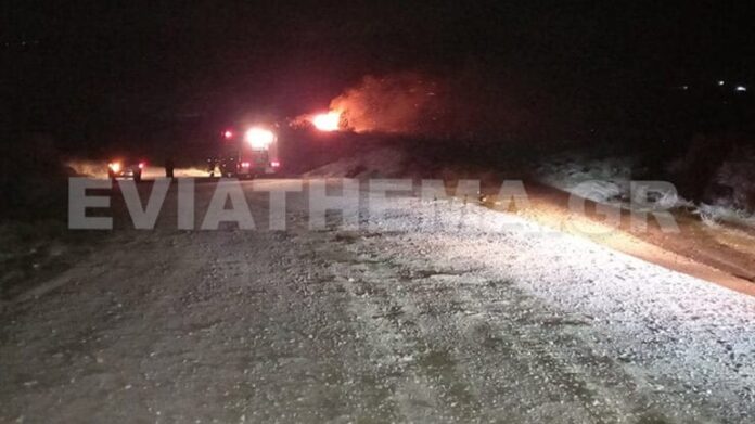 Πυρκαγιές σε δύο μέτωπα στο Αλιβέρι