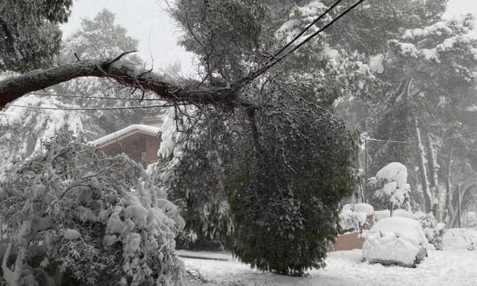 Τα golden boys έλαμψαν, τα νοικοκυριά έμειναν στο σκοτάδι, τα κυκλώματα λυμαίνονται την κρατική περιουσία!