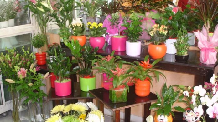 Lockdown στην Αττική: Ανοικτά τα ανθοπωλεία το σαββατοκύριακο του Αγίου Βαλεντίνου