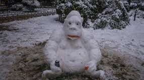 Δεν φταίει κανείς, φταίει ο Χατζηπετρής… Τελικά το μπάχαλο λόγω της «Μήδειας» έγινε μόνο του