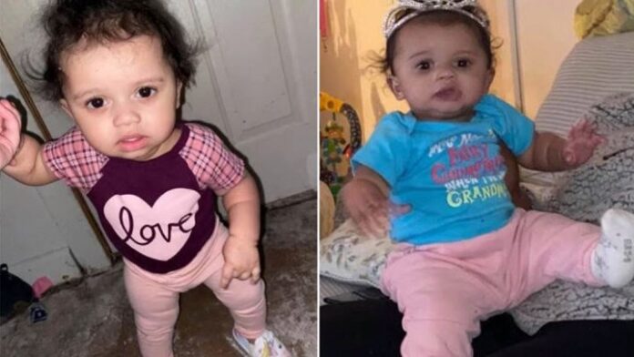 Τραγωδία στις ΗΠΑ: Νεκρό κοριτσάκι ενός έτους από επίθεση πίτμπουλ – Πλησίασε το μπολ φαγητού του