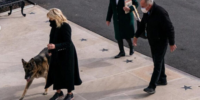 Εκτός Λευκού Οίκου τα σκυλιά του Μπάιντεν: Το ένα δάγκωσε φρουρό ασφαλείας!