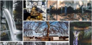 Βραβεία και έπαινοι του διαγωνισμού φωτογραφίας