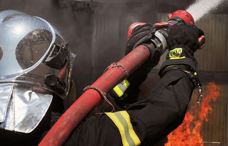 ed2297e2-f574-46e7-9d2c-6a81e96b3036_pyrosbestis-7