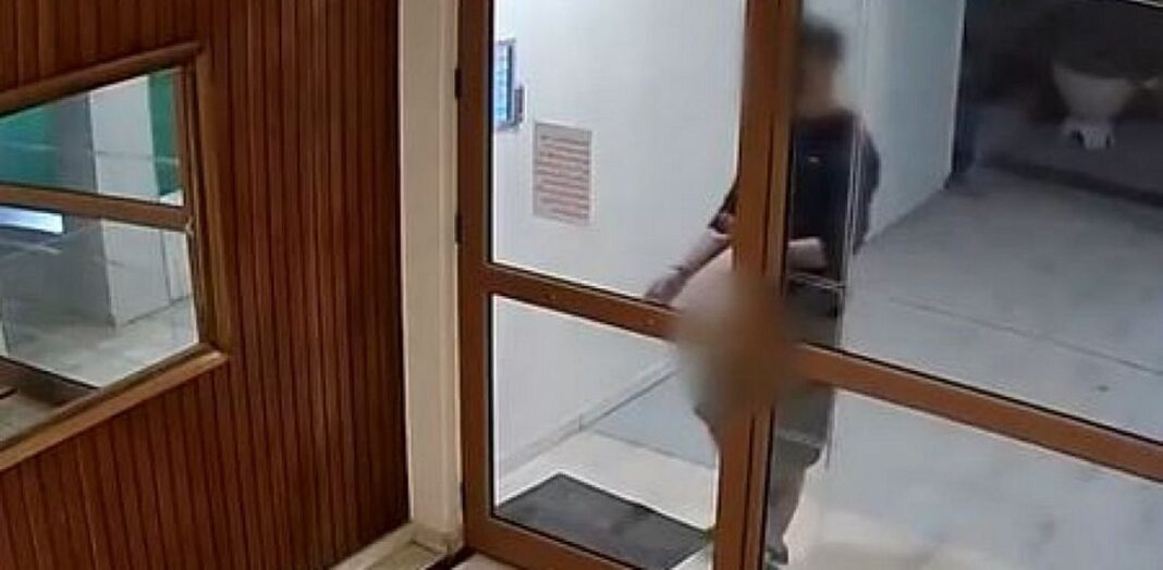 bb_252863_267229_type13262