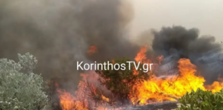 Φωτιά στο Καλέντζι Κορινθίας: Μία σύλληψη για εμπρησμό – Σε εξέλιξη το πύρινο μέτωπο