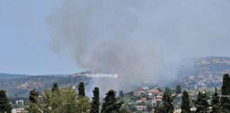 Φωτιά στη Νέα Ιωνία Βόλου κοντά σε κατοικημένη περιοχή – Κάηκαν ιδιοκτησίες και ζώα
