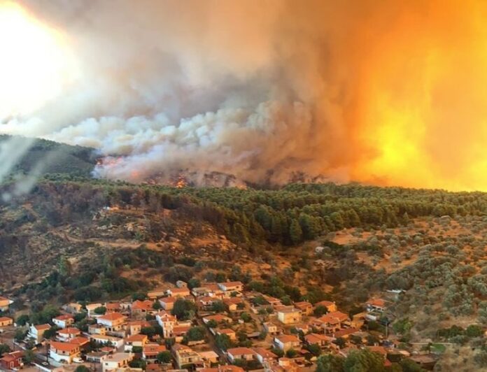 Πυρόπληκτοι Β. Εύβοιας: Χτίζουμε τείχος διεκδίκησης, αγώνα, ελπίδας